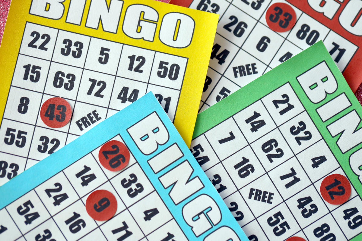 bingo social