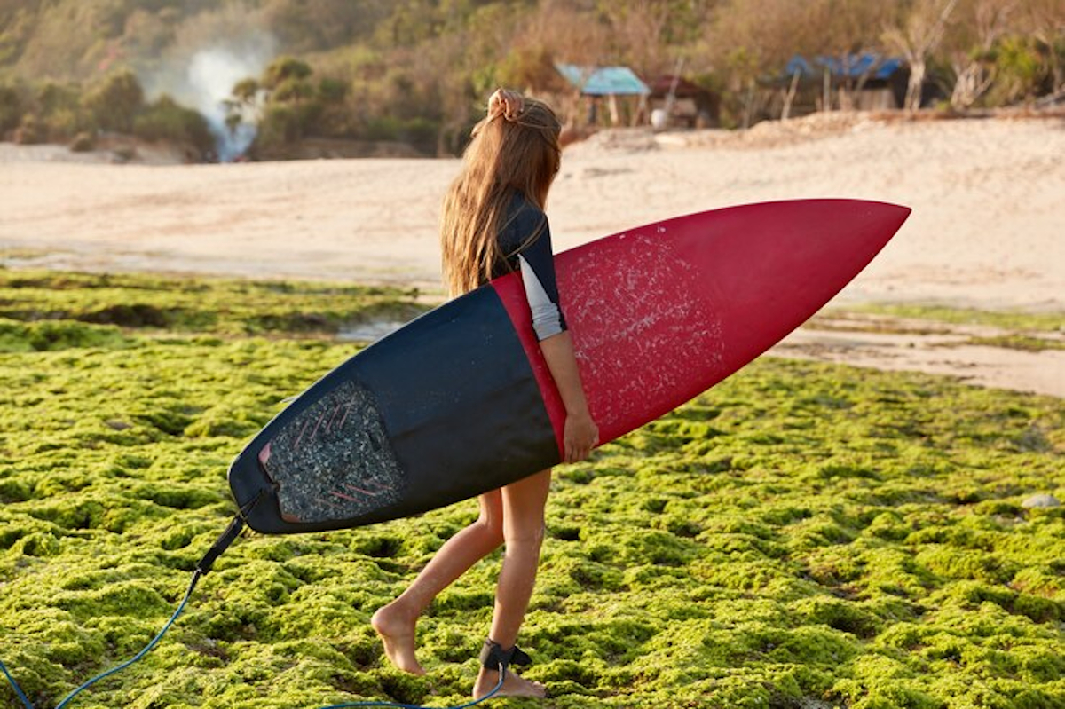 Technologie avancée des planches de surf